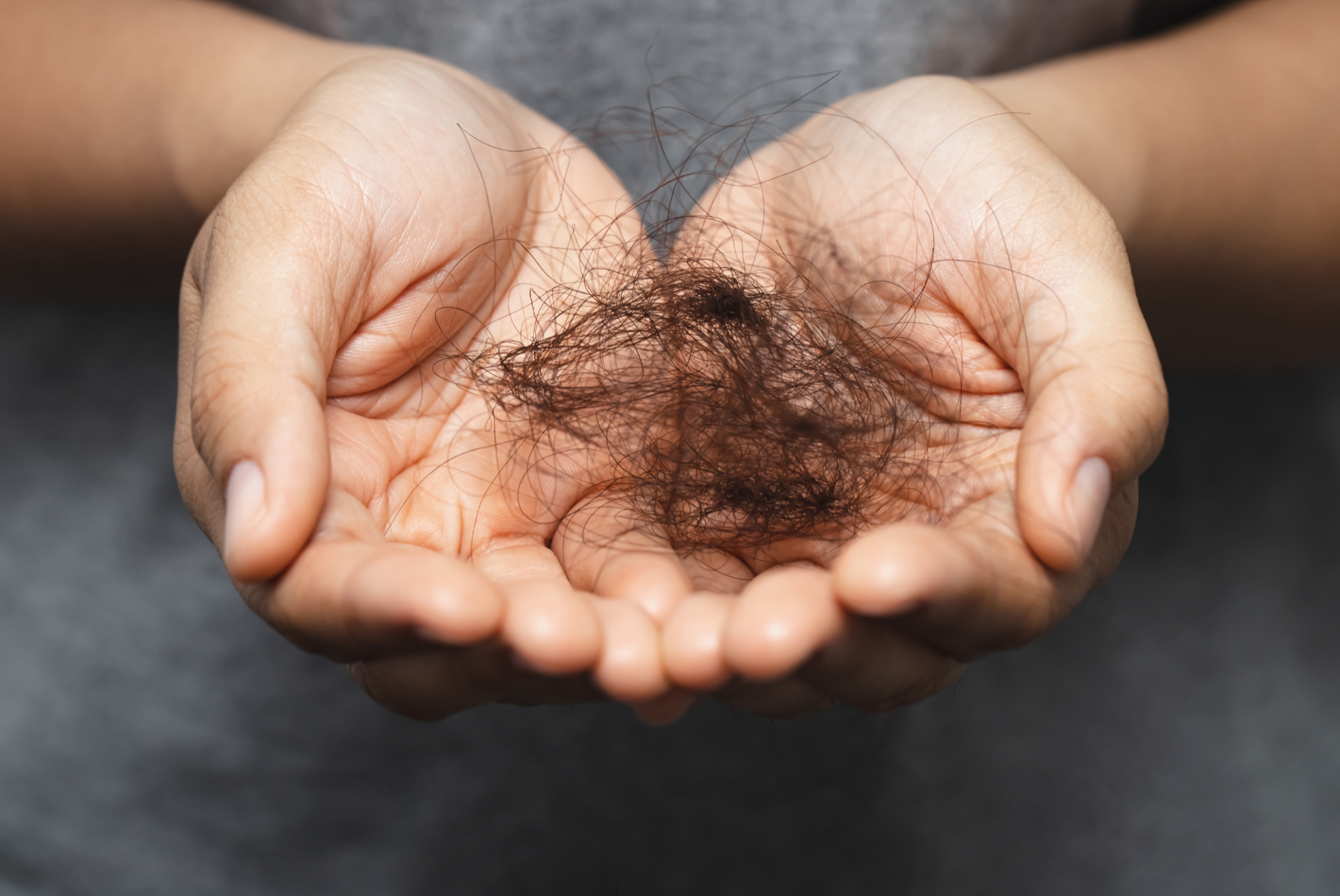 Two cupped hands holding a clump of shed dark brown hair